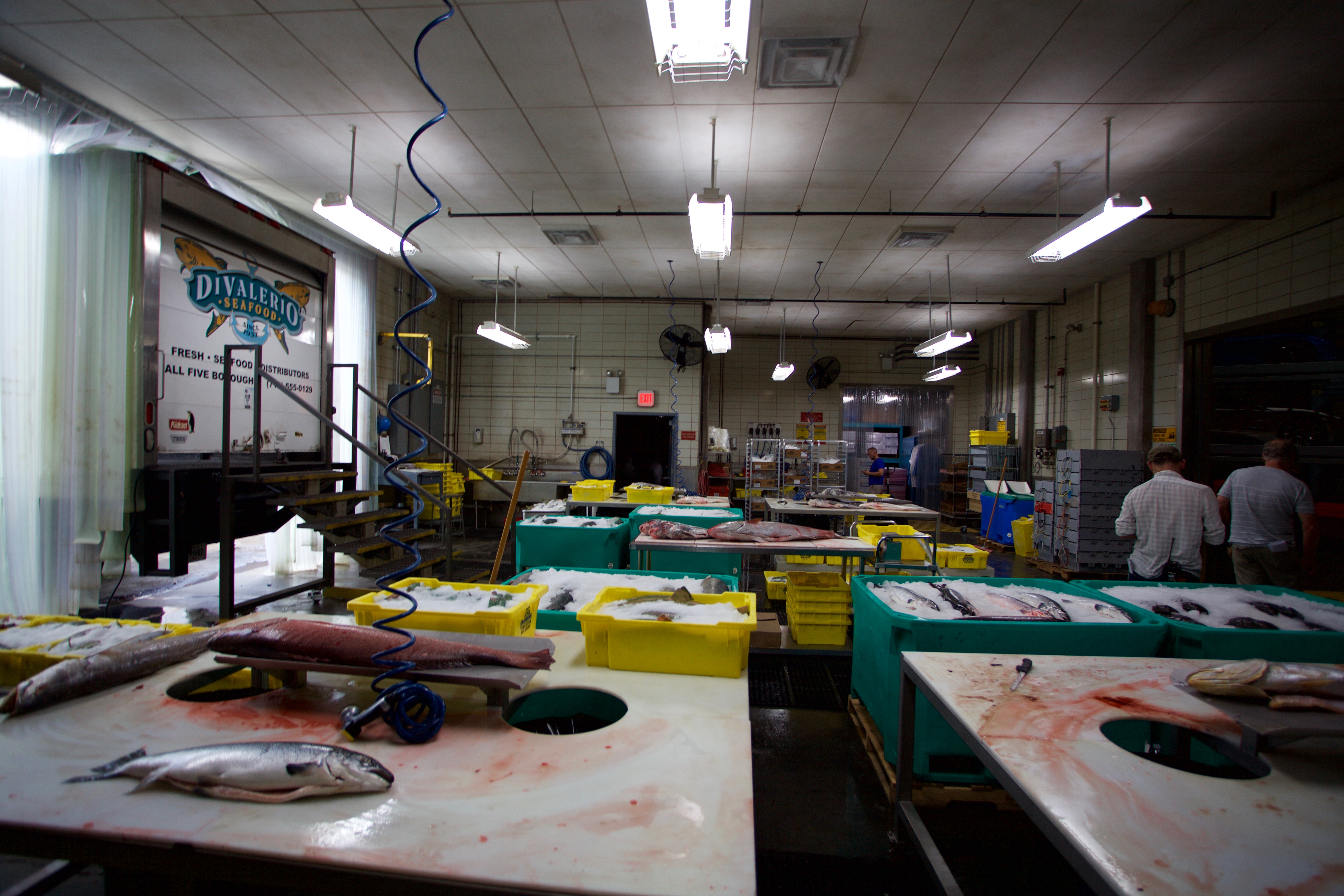 Fish processing plant constructed