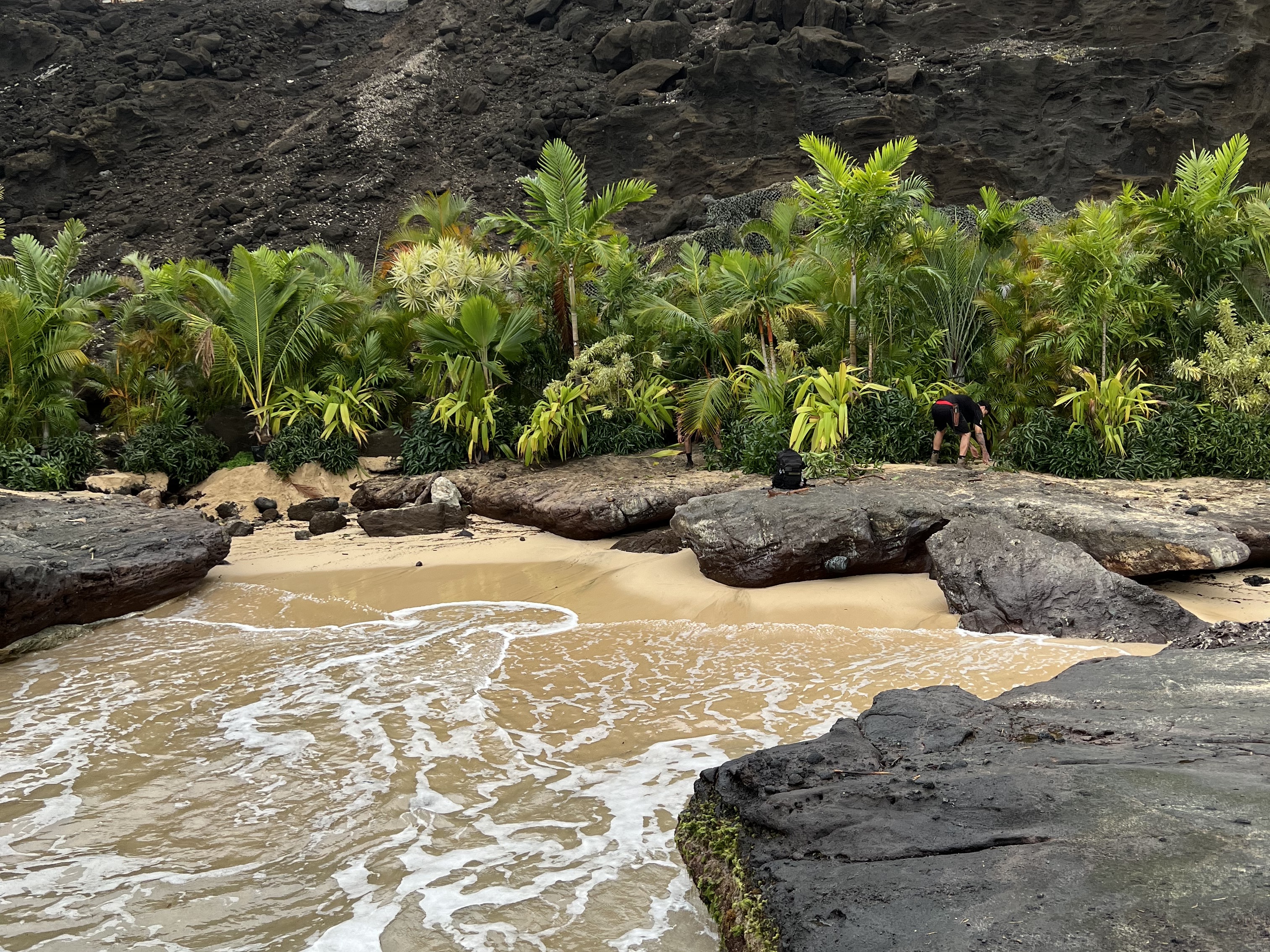 Beach greens installation