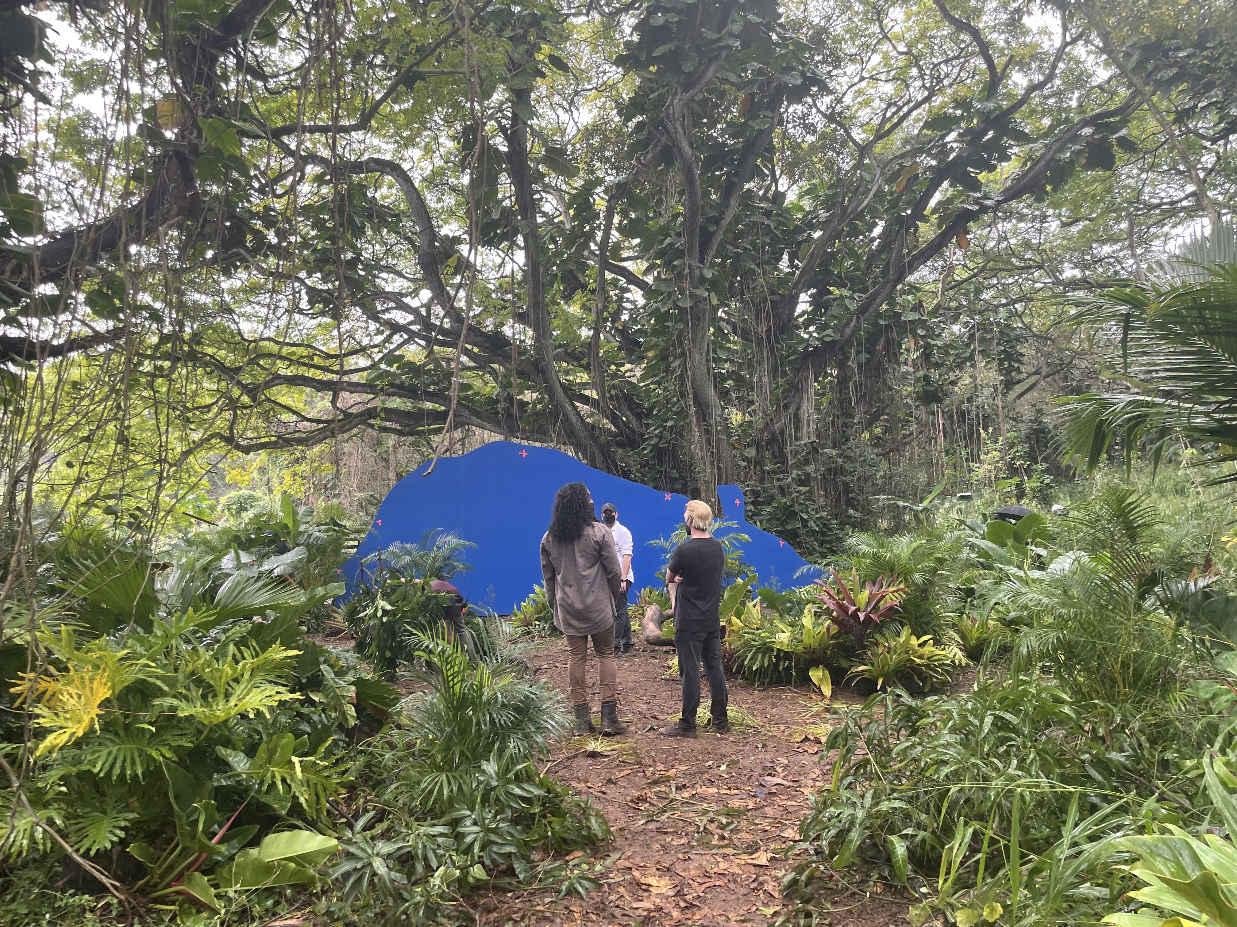 Jungle path transformation