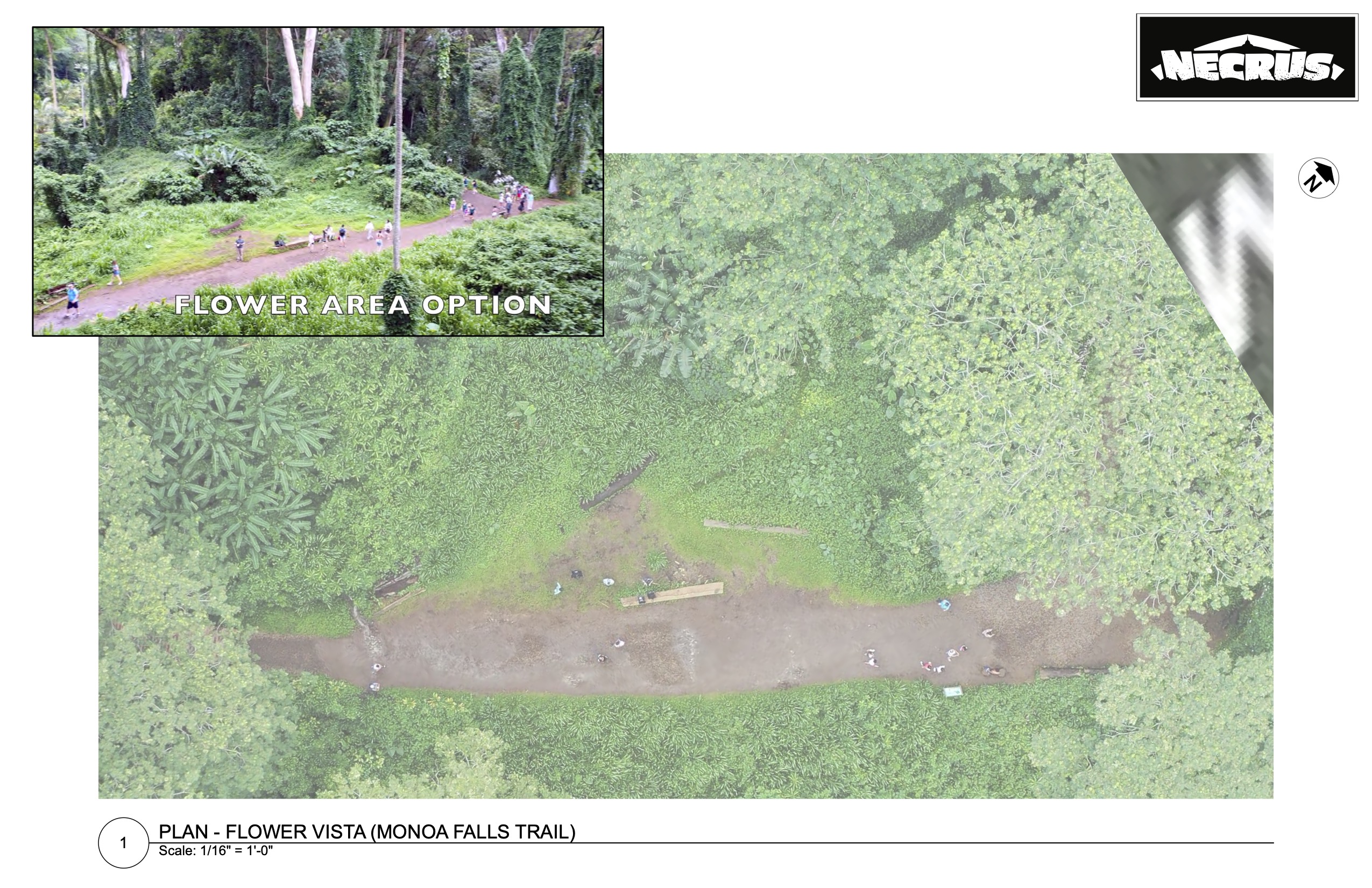 Scout drawing combination